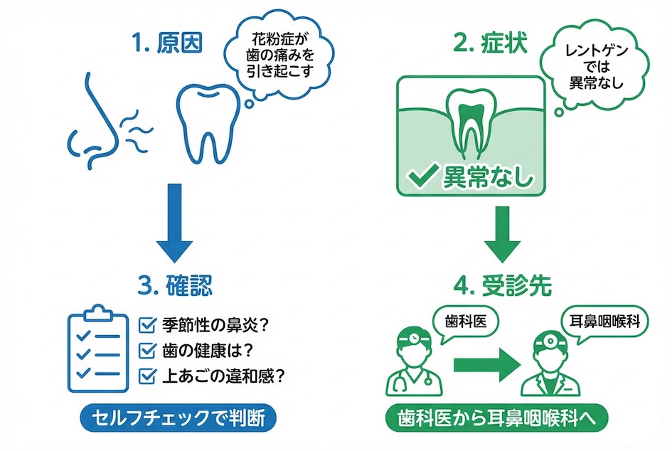 歯医者で異常なし」と言われたその歯の痛み、原因は鼻かもしれません