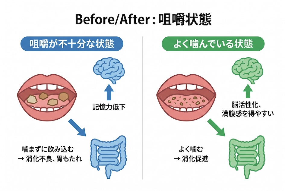 年代別に見る咀嚼の重要性