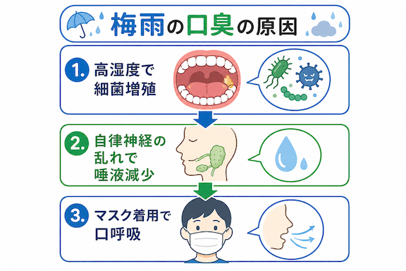 【今すぐできる】梅雨の口臭セルフケア完全ガイド
