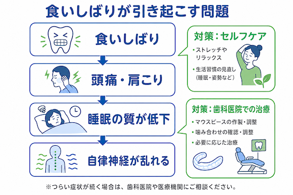 食いしばりは歯の問題だけじゃない?全身に広がる不調の連鎖